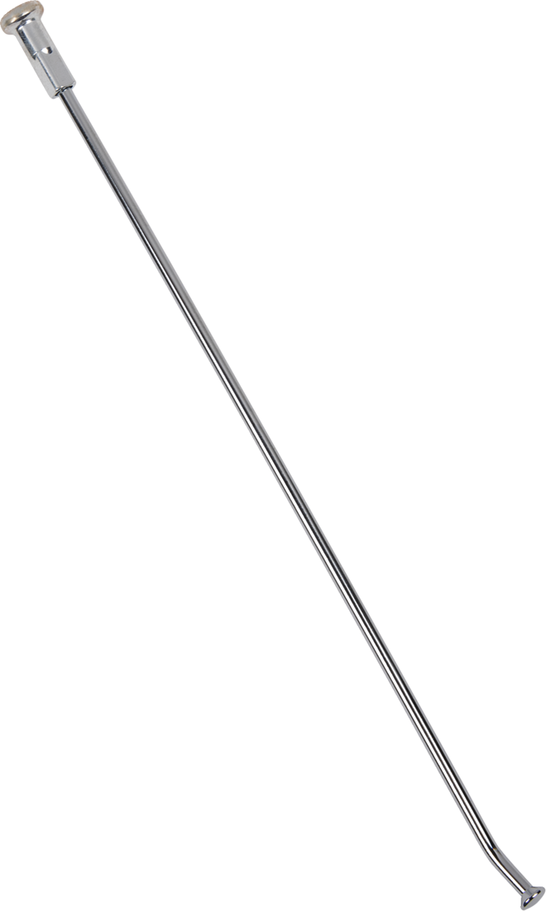 02110086_1.png