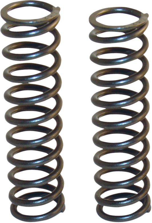 04050272_1.png
