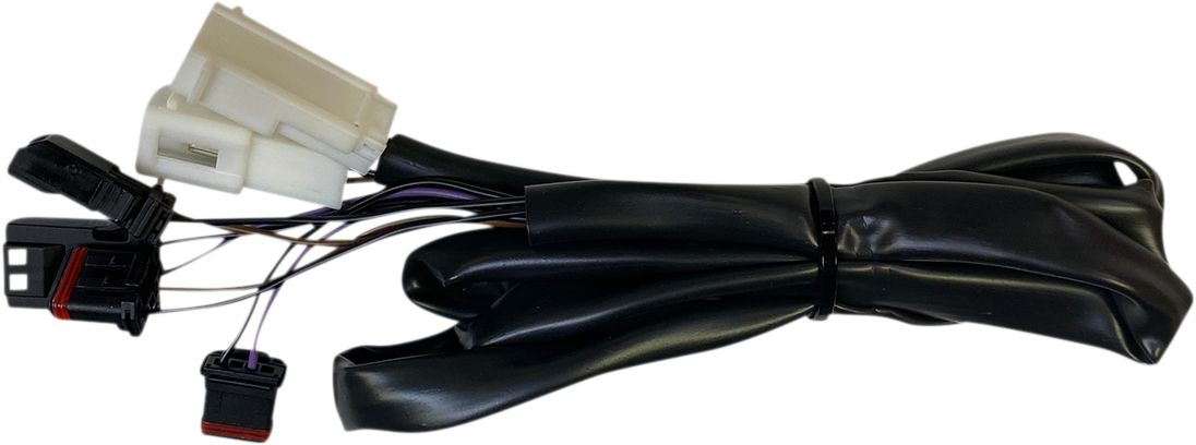 21300304_1.png