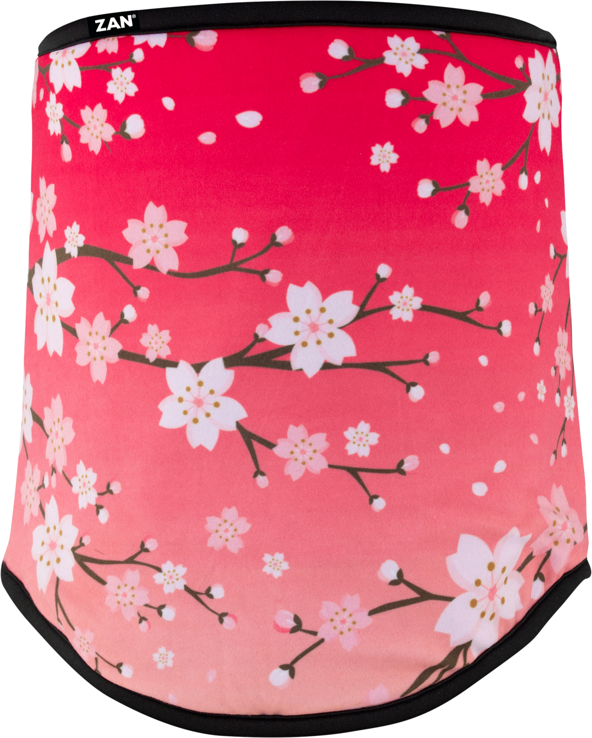 41de-610077e1488d0.png