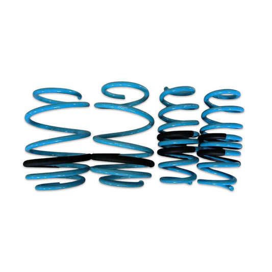BLOX Racing Lowering Springs 96-00 Honda Civic