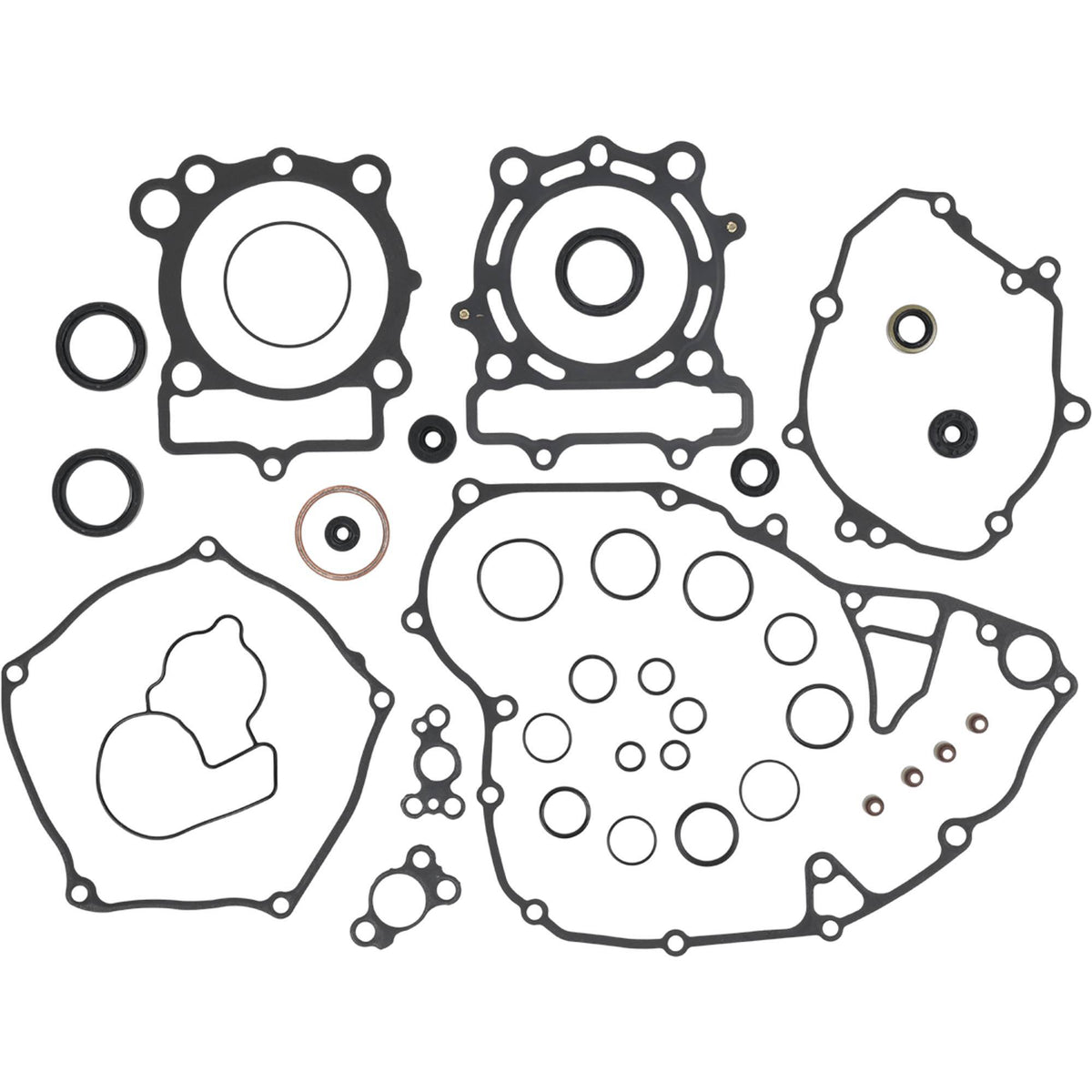 951e-6ab13054b4173.jpg