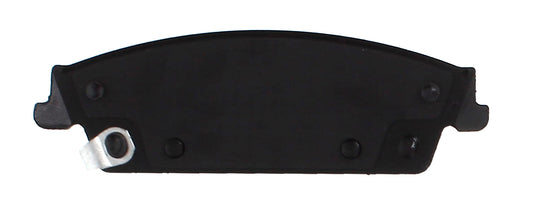 D1707 Back.jpg