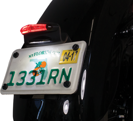 LED LICENSE PLATE LIGHT