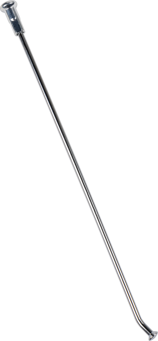 02110081_0.png
