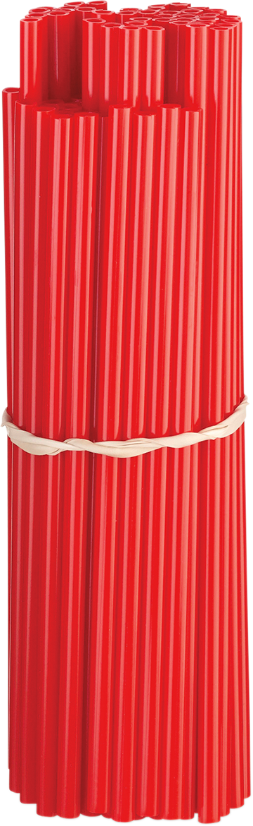 02110166_0.png