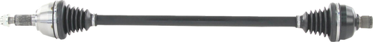 02142861_0.png