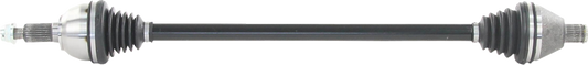 02142862_0.png