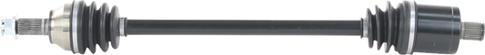 02142879_0.png