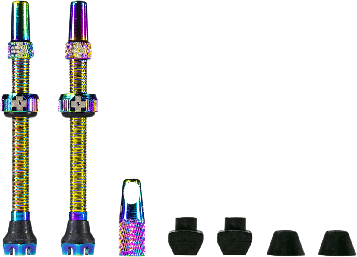 03600060_0.png