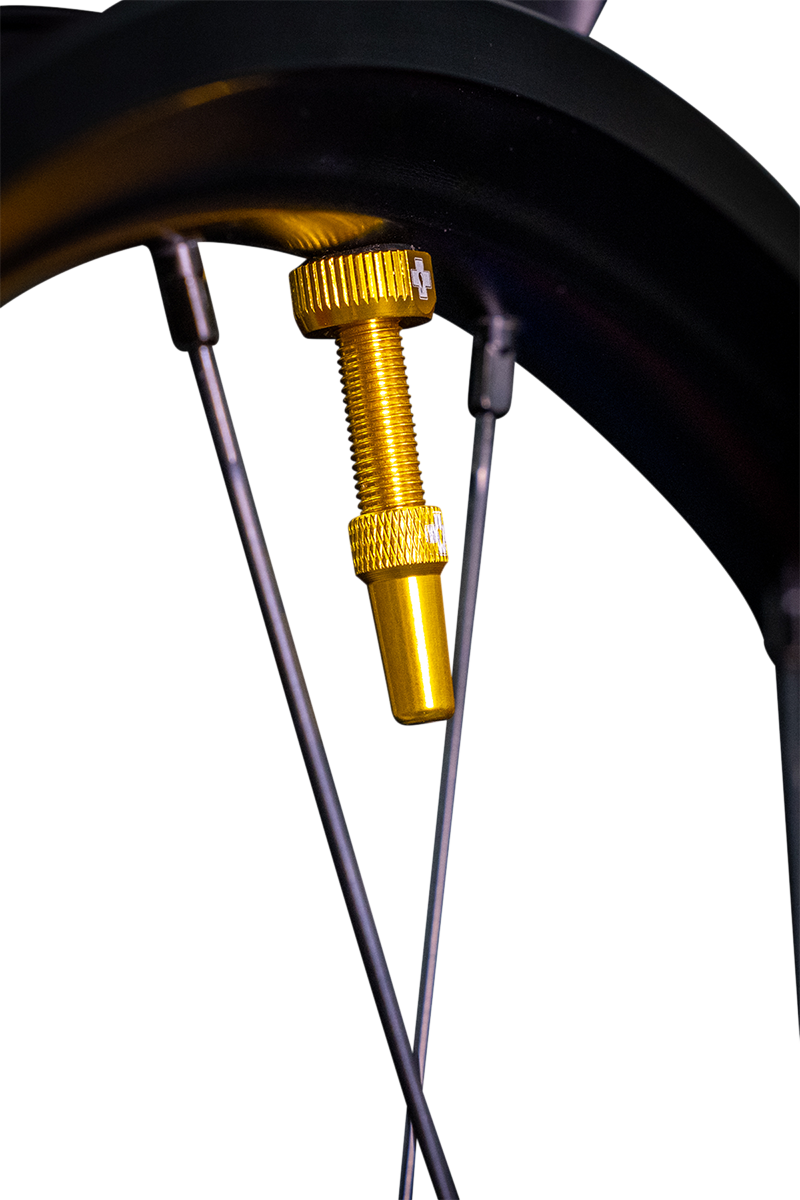 03600066_1.png