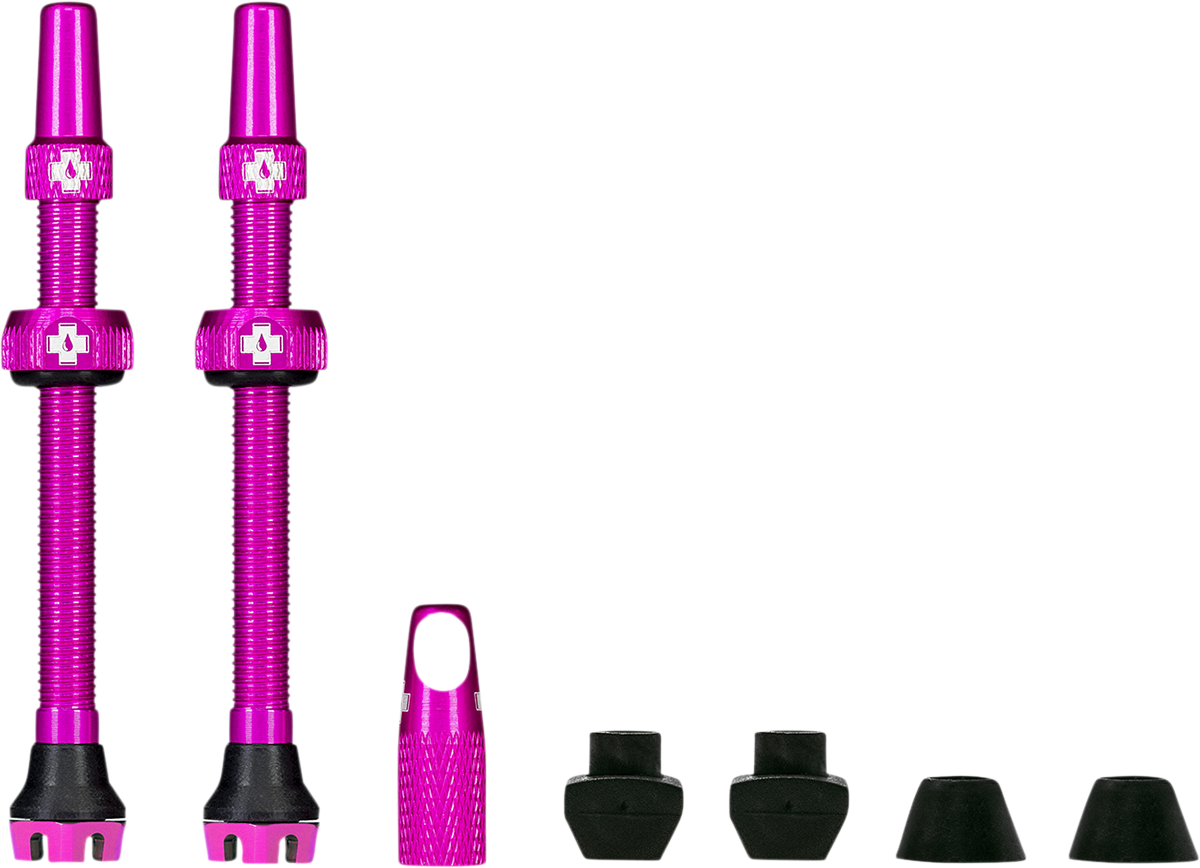 03600067_0.png
