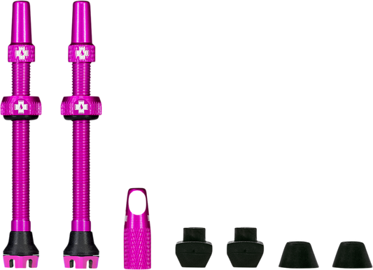 03600067_0.png