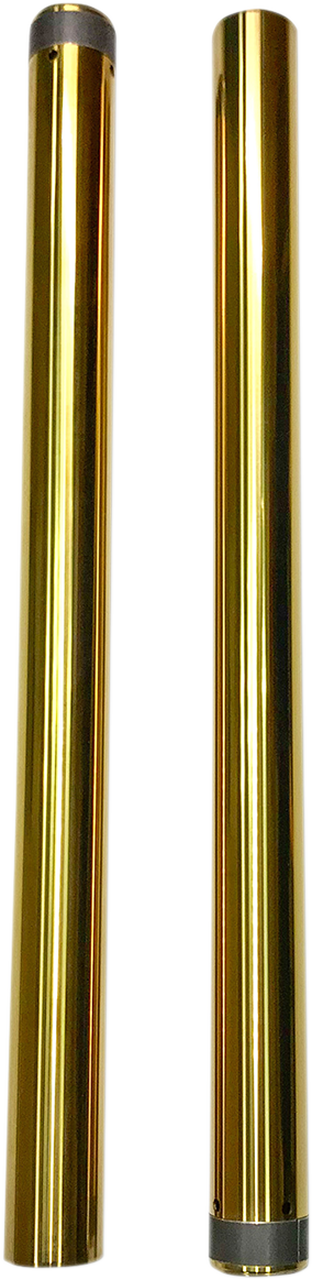 04040541_0.png