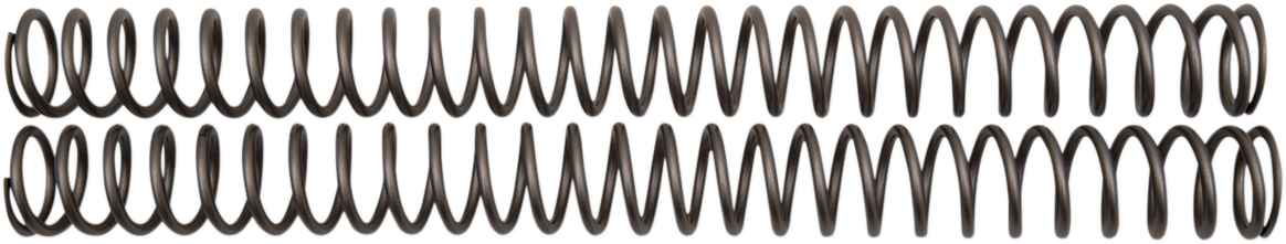 04050196_0.png