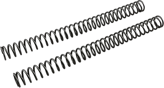04050255_0.png