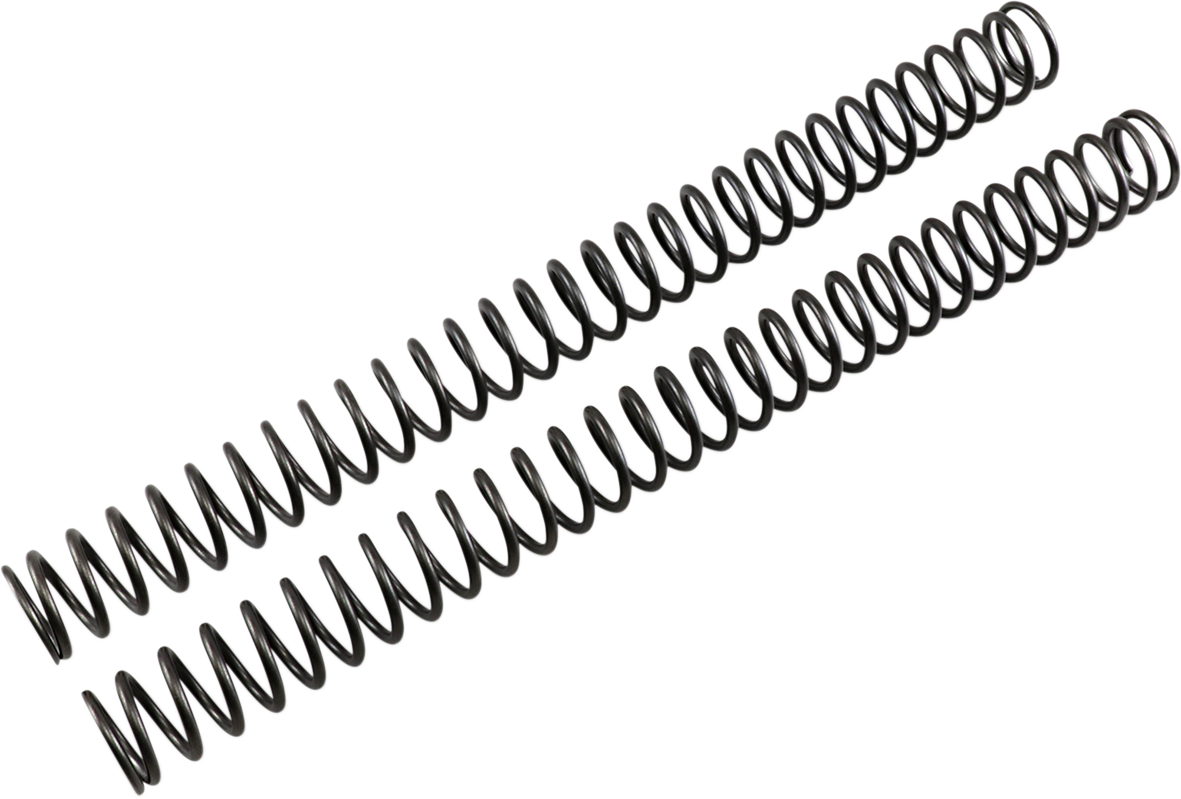 04050336_0.png