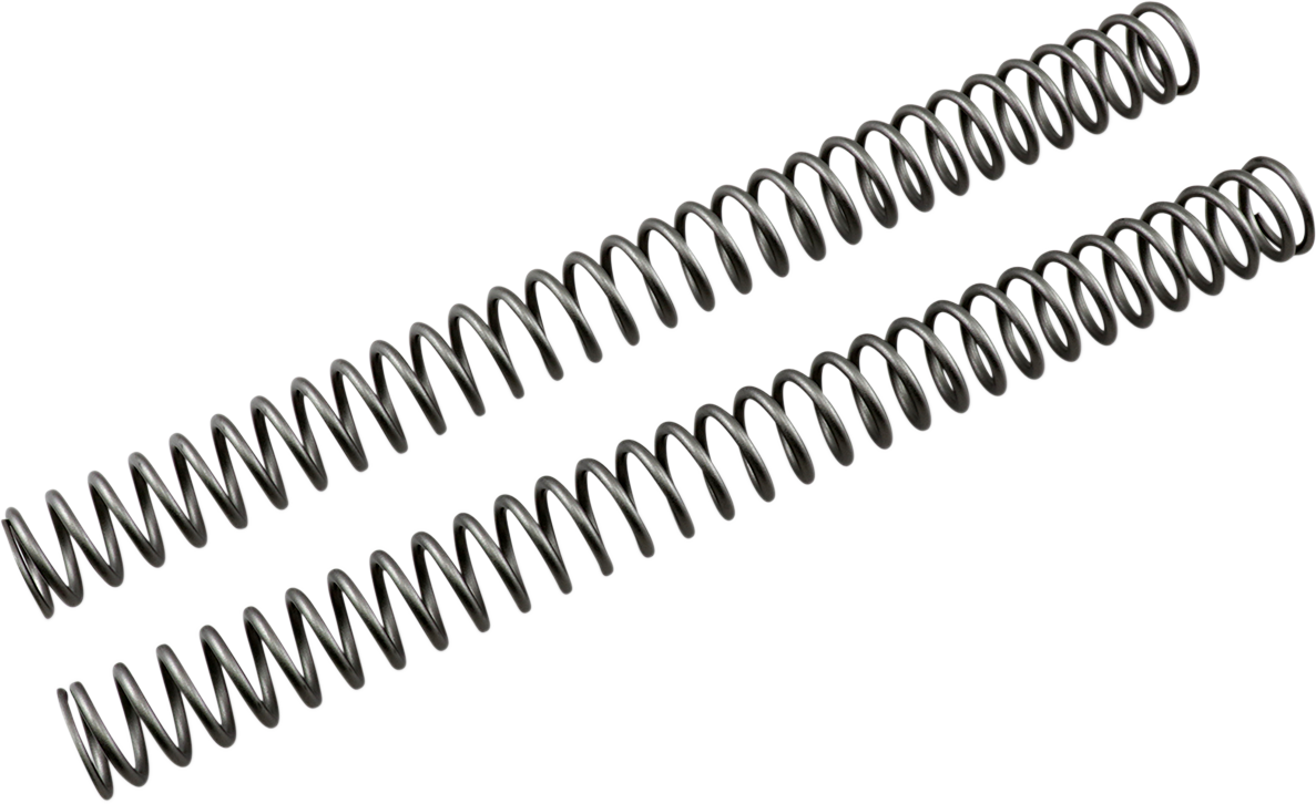 04050339_0.png