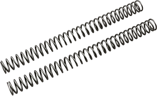 04050339_0.png