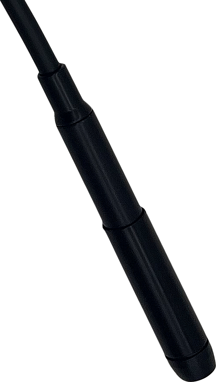 06621246_2.png