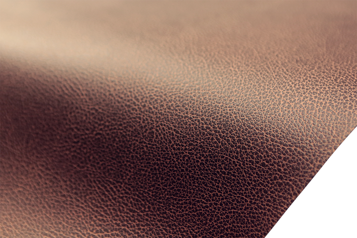 08213462_1.png