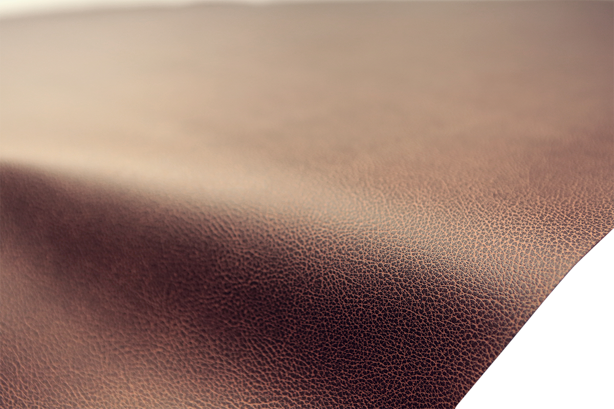 08213462_2.png