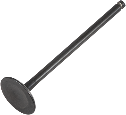 09261651_0.png