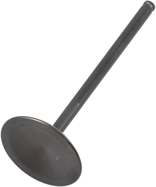 09261689_0.png