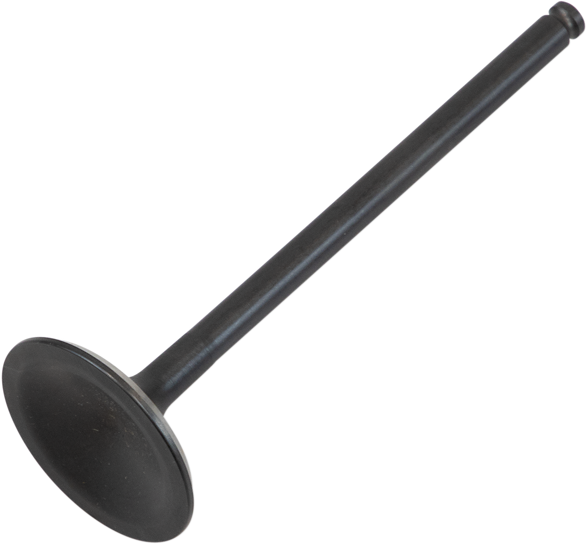 09261691_0.png