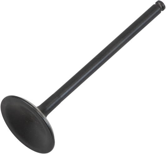 09261691_0.png