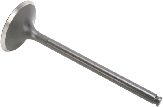 09261697_0.png
