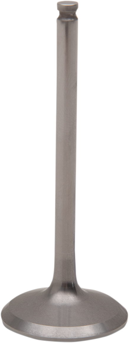 09261736_0.png