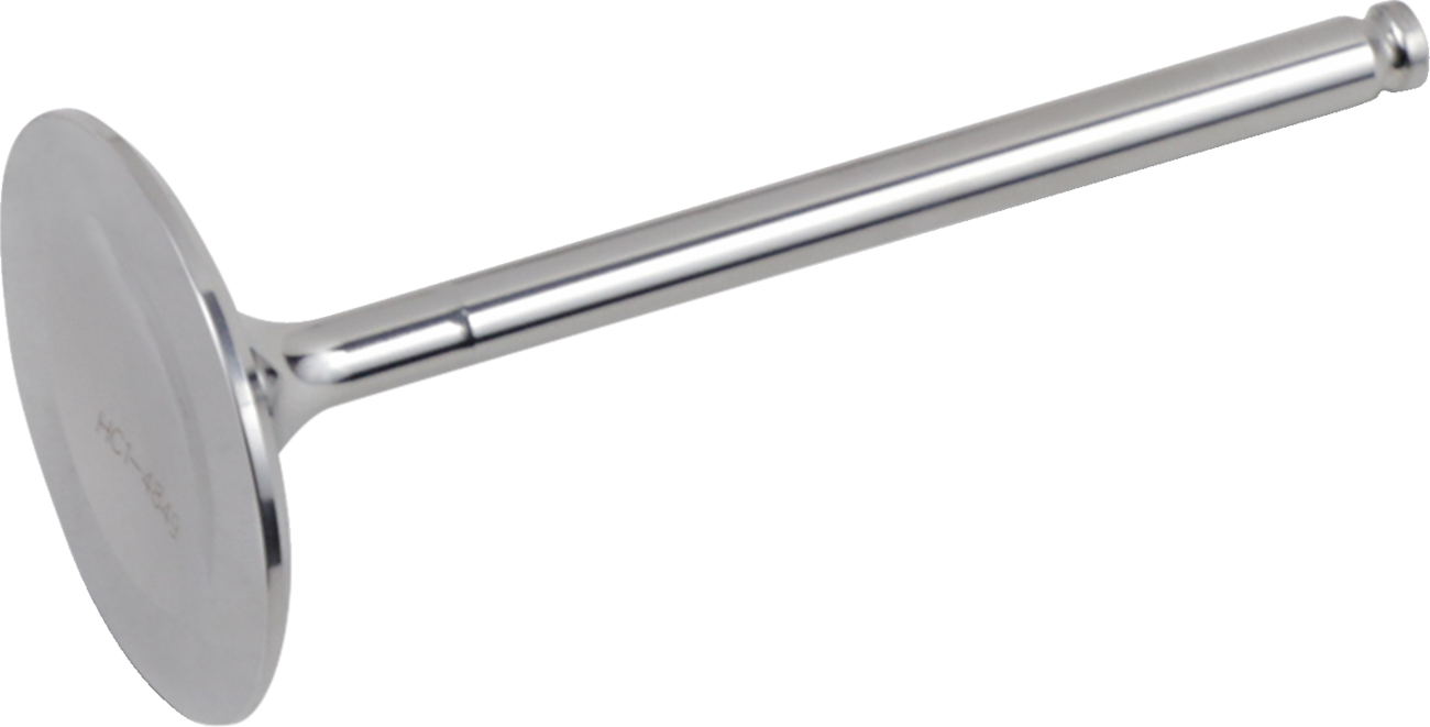09262255_0.png