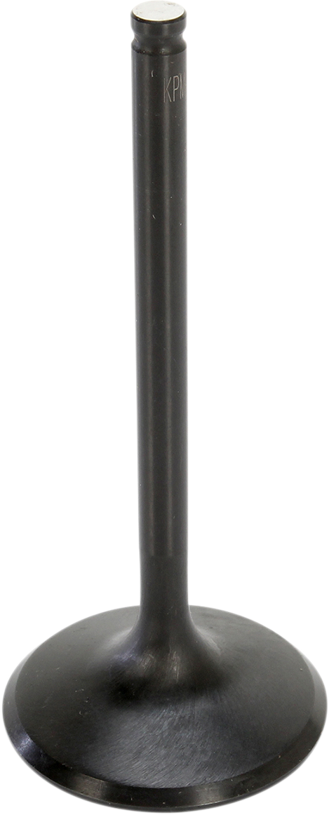09262656_0.png