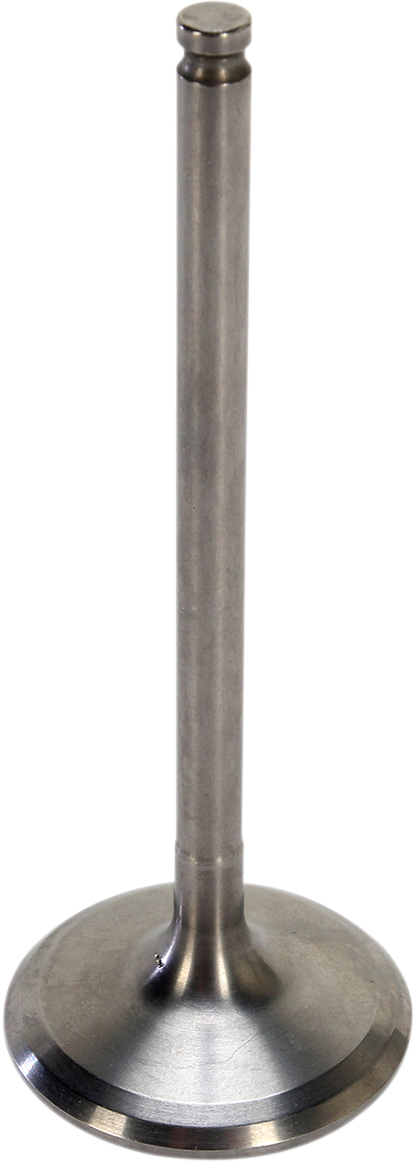 09262672_0.png