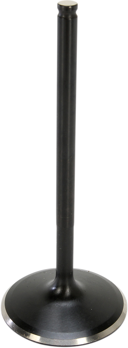 09262681_0.png