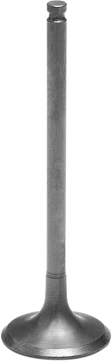 09262753_0.png