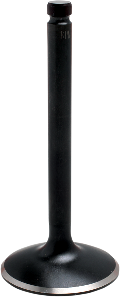 09262761_1.png