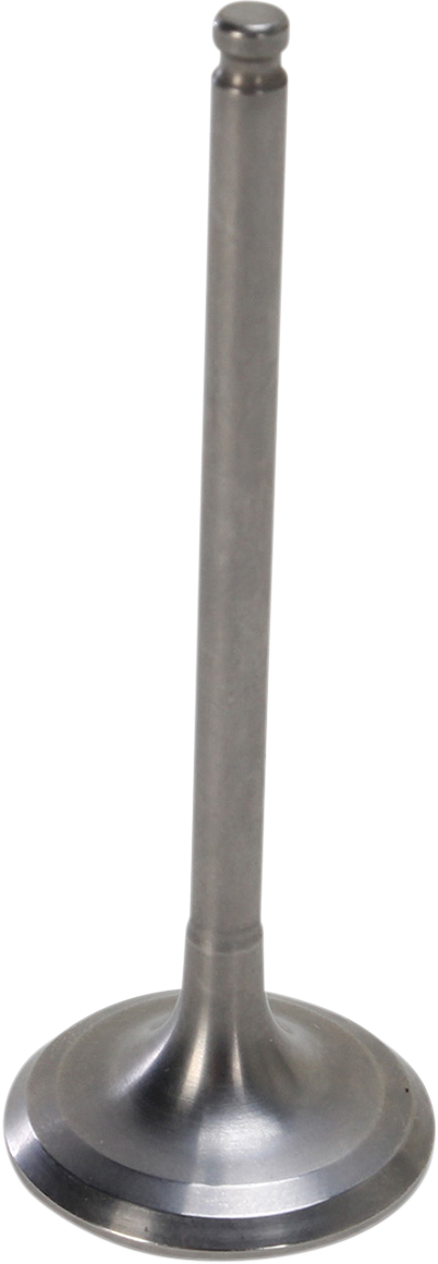 09262766_0.png