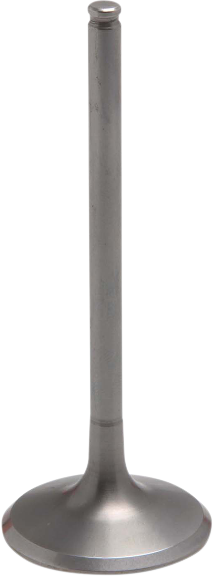 09262770_0.png