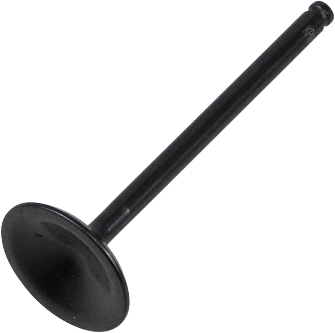 09262919_0.png