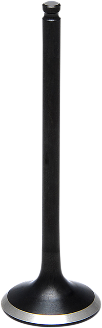09262983_1.png