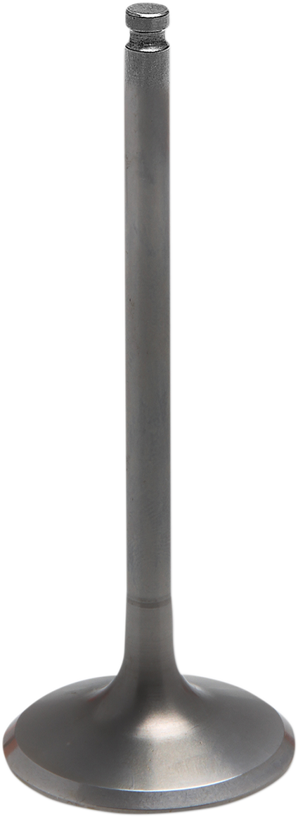 09263051_0.png