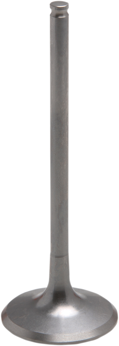 09263181_0.png