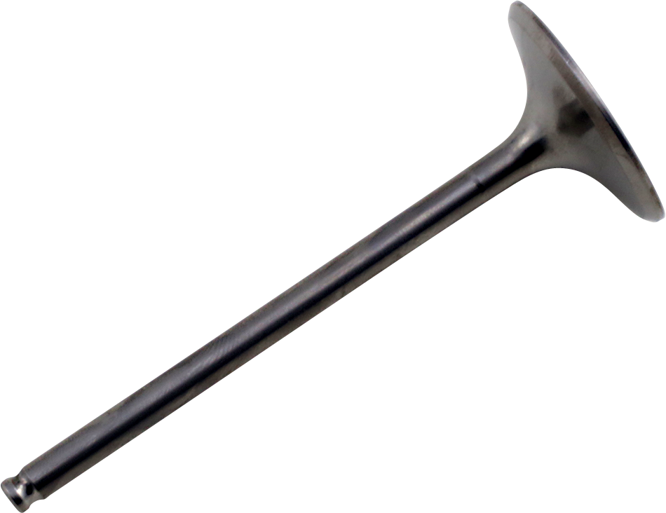 09263283_0.png