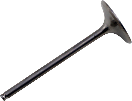 09263283_0.png