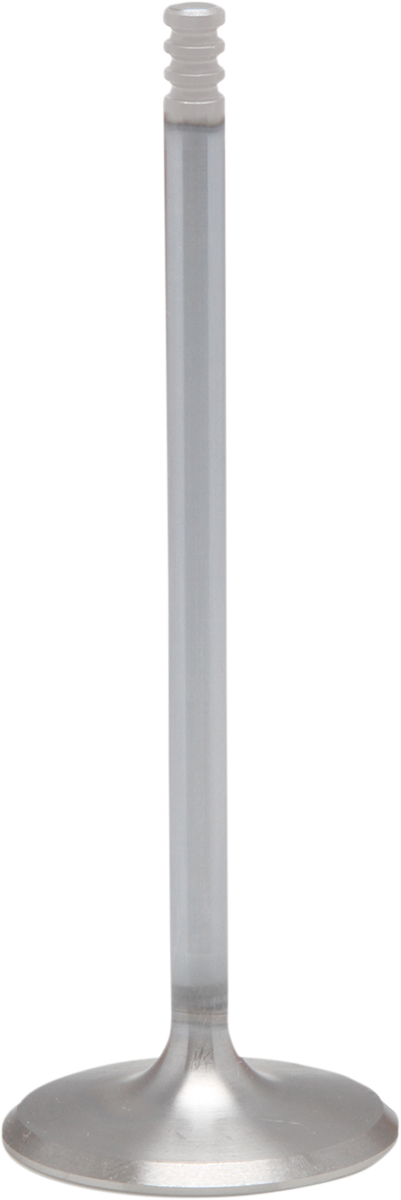 09263305_0.png