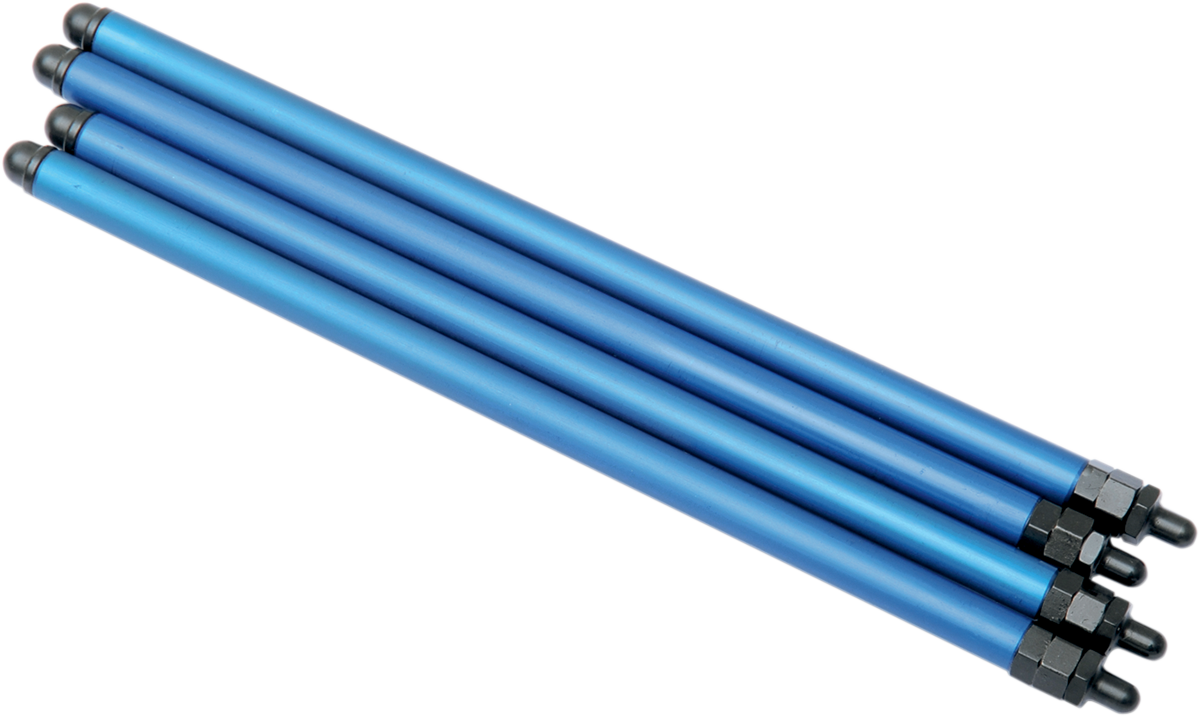 09280026_1.png