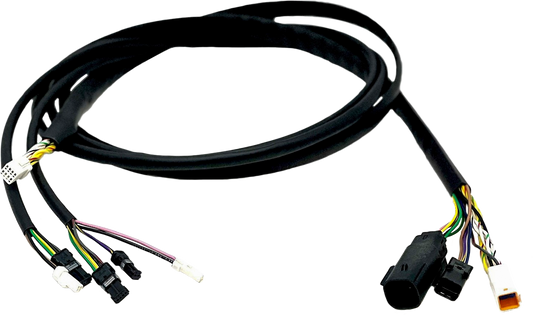 0cea-62cc3bc9bcc04.png