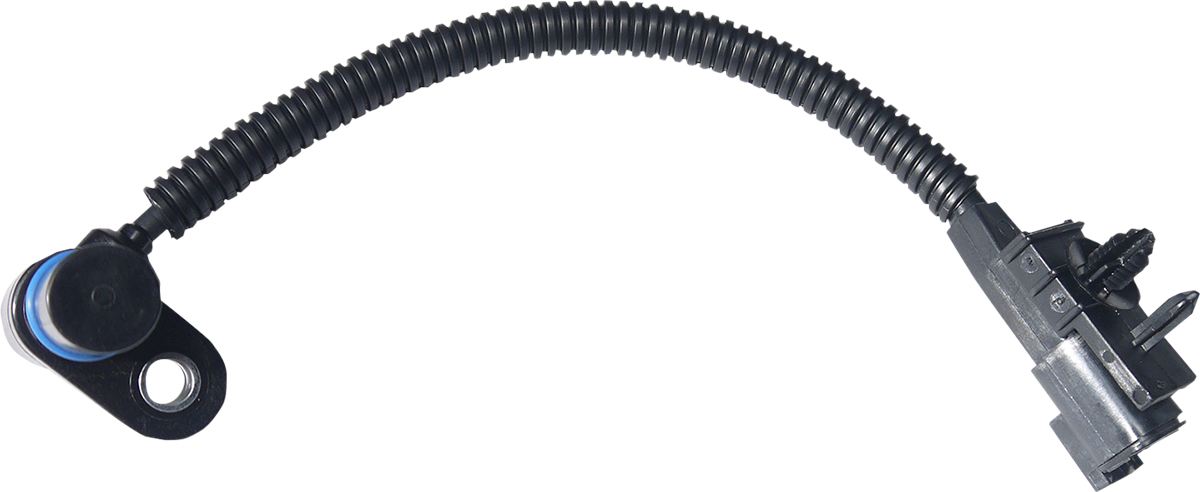 10220261_0.png